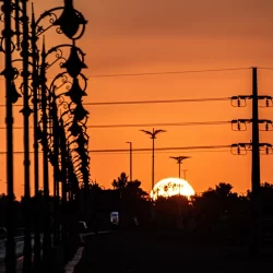 خماسية الخلود تُسقط الفيحاء وتعيد الفريق إلى الواجهة في دوري روشن