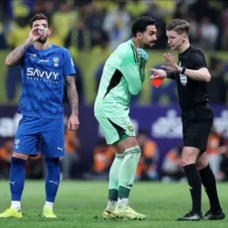 “البيئة”: ارتفاع نسبة تغطية “سعودي قاب” لإنتاج الدواجن إلى 90%