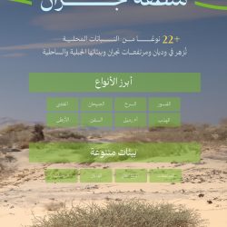 ضبط (18200) مخالف لأنظمة الإقامة والعمل وأمن الحدود في مناطق المملكة خلال أسبوع