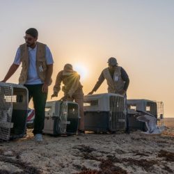 نيابةً عن سمو ولي العهد.. نائب وزير الخارجية يشارك في حفل افتتاح تولي جمهورية قبرص رئاسة مجلس الاتحاد الأوروبي