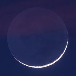 “هيئة النقل” تضبط مخالفًا أجنبيًا وتصدر عقوبة الإبعاد عن المملكة لمزاولته نشاط النقل الركاب دون ترخيص “الكدادة”