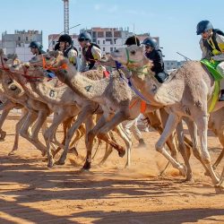 وزارة الثقافة توقّع شراكة مع الكلية الملكية للفنون (RCA) لتكون شريكًا أكاديميًا لكلّيتين بجامعة الرياض للفنون