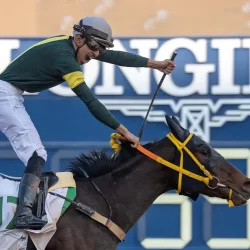 الأرصاد : استمرار تأثير الرياح النشطة المثيرة للأتربة والغبار على هذه المناطق