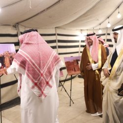 في تسجيل نادر.. مركز الحياة الفطرية يرصد سلحفاة جلدية الظهر في البحر الأحمر