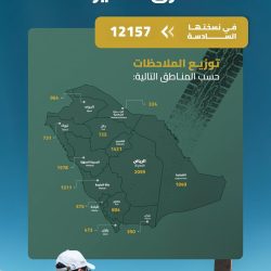 أسعار النفط تسجّل ارتفاعًا طفيفًا عند التسوية