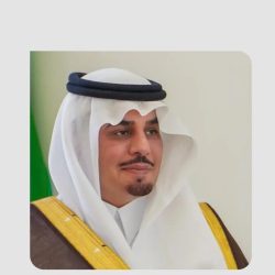 أمانة الباحة تُكثّف أعمال التزيين بـ 30 مجسمًا مضيئًا احتفاءً بعيد الفطر