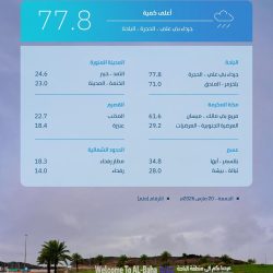 المتحدث الرسمي لوزارة الدفاع: اعتراض وتدمير مسيّرتين في المنطقة الشرقية