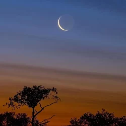 مشروع “مسام” ينزع 908 ألغام من الأراضي اليمنية خلال أسبوع