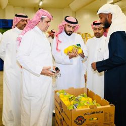 “تعليم مكة” يختتم مسابقة “مشكاة النبوة” بتكريم 30 فائزًا وفائزة