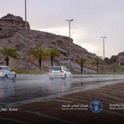 في يوم مبادرة السعودية الخضراء.. المملكة تؤكد التزامها بدعم العمل البيئي وتحقيق مستهدفات التنمية المستدامة