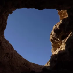 الأمير عبدالعزيز بن سعود يبحث مع نائب رئيس مجلس الوزراء وزير الداخلية الإماراتي مستجدات الأوضاع في المنطقة