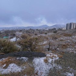 أبو حريق يهدي العرضيات “مُهرة”