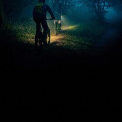 الهيئة الملكية لمكة المكرمة والمشاعر المقدسة تعتمد الدليل التنظيمي للوحات التجارية