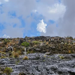 “وزارة البيئة”: ضبط مخالفين لنظام حظر صيد أسماك الناجل بمحافظة بدر
