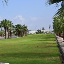 جمرك ميناء جدة الإسلامي يُحبط محاولة تهريب أكثر من 29 كيلوغرامًا من مادة “الكوكايين”