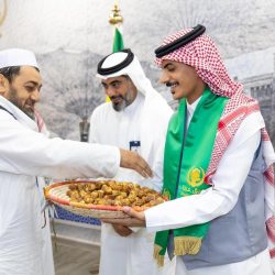 مشاهد الدلافين تُزيّن سواحل جزر فرسان وتُعزّز جاذبيتها السياحية