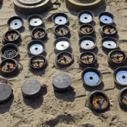 “أرويا كروز” تستأنف رحلاتها من جدة وسط إقبال متزايد على السياحة البحرية