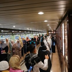 الهيئة العامة للأمن الغذائي تعلن جاهزيتها لبدء استلام القمح المحلي