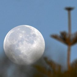 منتدى العمرة والزيارة في نسخته الثالثة يرصد تحولًا نوعيًا في تصميم رحلة المعتمر