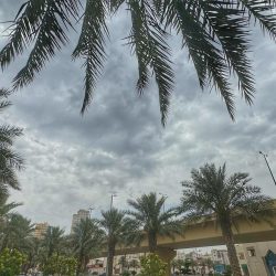 الذهب ينخفض مع ارتفاع الدولار وزيادة مخاوف التضخم