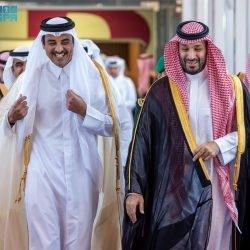 نائب رئيس مجلس الوزراء وزير خارجية دولة الإمارات يصل إلى جدة للمشاركة في القمة الخليجية التشاورية