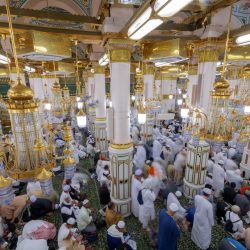 أمير منطقة القصيم يُدشّن عربة التبرع بالدم للفصائل النادرة لجمعية “دمي”