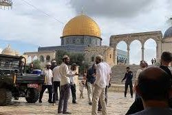 تعادل إيجابي يحسم مواجهة الأهلي والفيحاء في روشن