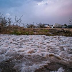 الغامدي يُشيد بمبادرة “إرث الباحة الخضراء” ويدعو لتوسيعها نحو مشروع شامل