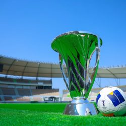 فلكية جدة: بدء أسبوع السماء المظلمة العالمي 2026 للتوعية بمخاطر التلوث الضوئي