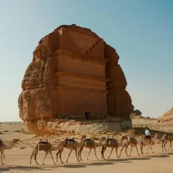 تنوع العُلا الطبيعي يعزّز إنتاج العسل عالي الجودة تزامنًا مع اليوم العالمي للنحل