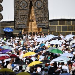 أمانة جدة تحبط مسلخًا عشوائيًا يمارس الاحتيال على المستهلكين