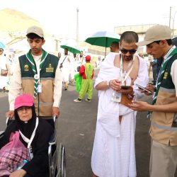 “البيئة” تؤكد أهمية ذبح الأضاحي داخل المسالخ لضمان سلامة اللحوم وحماية البيئة والصحة العامة