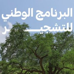 الحملات الميدانية تضبط (11175) مخالفًا لأنظمة الإقامة والعمل وأمن الحدود في مناطق المملكة