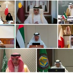 حصول جميع أندية الدوري السعودي للمحترفين على الرخصة المحلية والآسيوية للموسم (2026-2027)