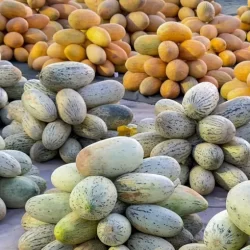 “الموارد البشرية” تعلن فتح باب التسجيل للعام التأهيلي بمراكز الرعاية النهارية 1448هـ