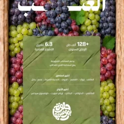 الهيئة الملكية لمدينة مكة المكرمة والمشاعر المقدسة تطلق المرحلة الجديدة من برنامج الأحياء المطورة باستثمارات تتجاوز 16.3 مليار ريال