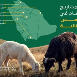 في معرض كوالالمبور الدولي للكتاب 2026 .. “أبو شال” تستكشف التقاطعات بين الموشحات الأندلسية والبانتون الماليزي