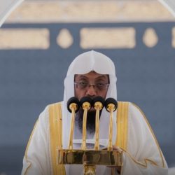 “التجارة”: إصدار أكثر من 22 ألف سجل تجاري خلال شهر يونيو 2026