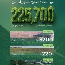 بالشراكة مع الاتحاد الدولي للاتصالات.. هيئة الاتصالات والفضاء والتقنية تنظّم الحدث العالمي للاتصال والاستدامة الفضائية في أكتوبر المقبل