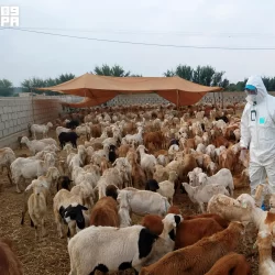 الهيئة الوطنية للأمن السيبراني تعلن انطلاق النسخة الأولى من مبادرة “البحث الصيفي الدولي في الأمن السيبراني”