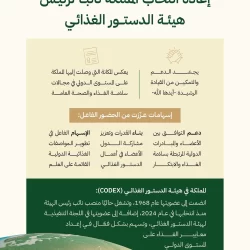 “الأرصاد”: أتربة مثارة على محافظتي القنفذة والليث