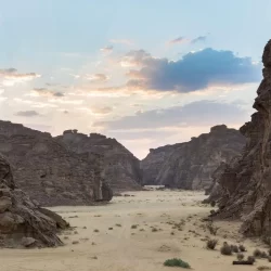 وزارة الخارجية تعرب عن تعازي المملكة للجزائر في ضحايا حريق مؤسسة الطفولة المسعفة