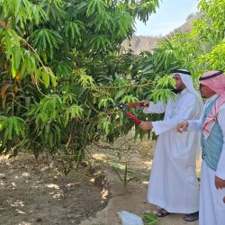 الطالبة جنى المالكي تحقق الميدالية الفضية في المعرض الدولي للاختراعات والابتكارات