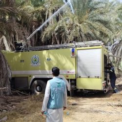 ضيوف برنامج خادم الحرمين الشريفين للعمرة والزيارة يثمنون رعاية المملكة وجهودها في خدمة الإسلام
