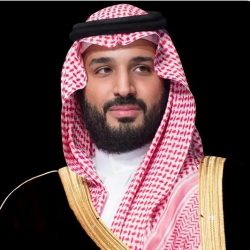 المملكة وإيطاليا تشددان في بيان مشترك على ضرورة حماية حرية الملاحة والأمن البحري في مضيقي هرمز وباب المندب