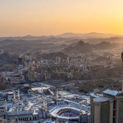 انطلاق فعاليات “غابة العجائب” في جدة بتجارب غامرة تثري صيف 2026
