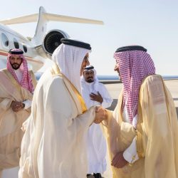 رومانو: الأهلي على أعتاب صفقة مدوية.. ترينكاو يقترب من دوري روشن