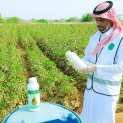 الهيئة العامة للنقل تشدد على أهمية التعامل مع الناقل النظامي تزامنًا مع بدء العام الدراسي الجديد