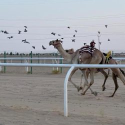 سمو ولي العهد يجري اتصالًا هاتفيًا برئيس الولايات المتحدة الأمريكية