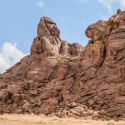 رئيس جمهورية تركيا يغادر جدة